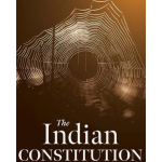 The Indian Constitution : Conversations with Power